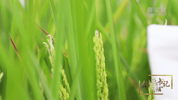 b1