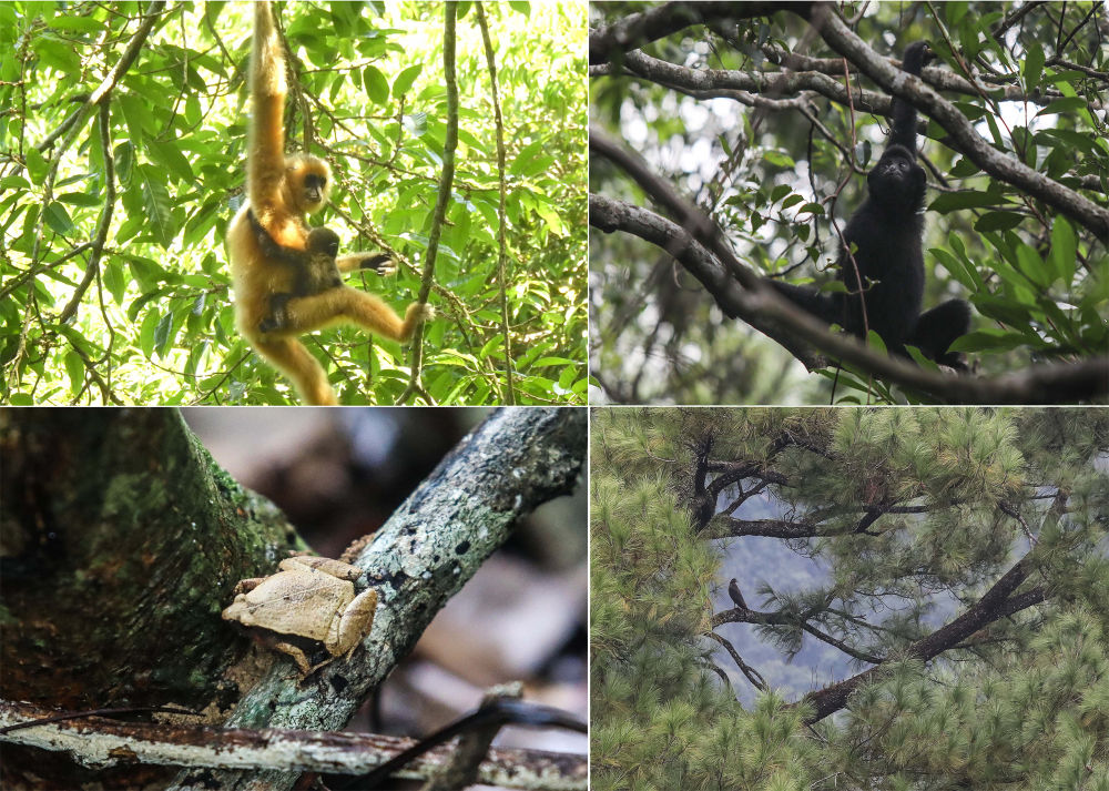 32c1b5bc8883408888a9d712141b980f