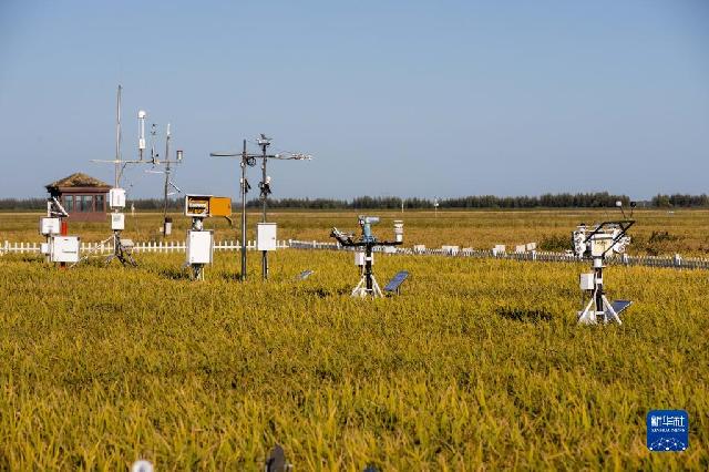 1129023658_16638394749001n