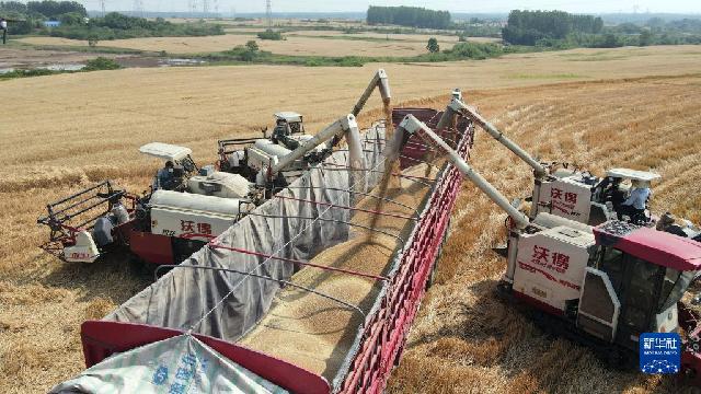 1129023658_16638398095231n