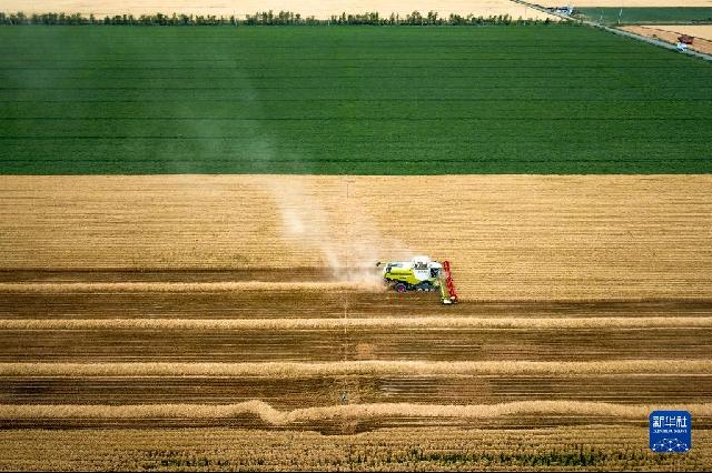 1129023658_16638397429161n