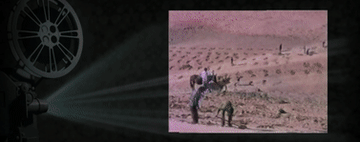 微信图片_20221005090027