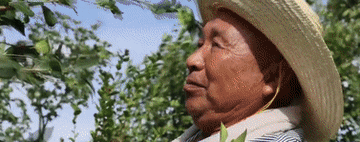 微信图片_20221005090034