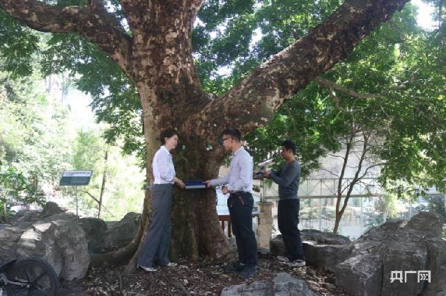 3f5d3dad5906d166512857724967813511