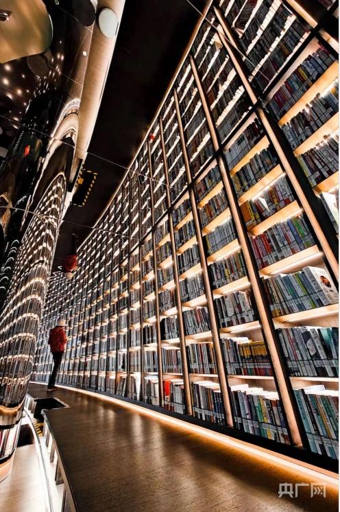 291c06b0e66da166522397496054440511