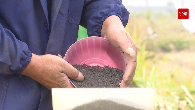 微信截图_20221103173524