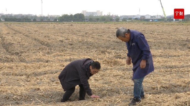 微信截图_20221103173540