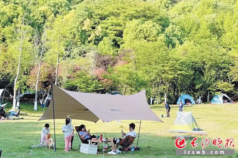 微信图片_20221112072506