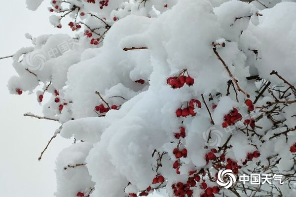 微信图片_20221123083636