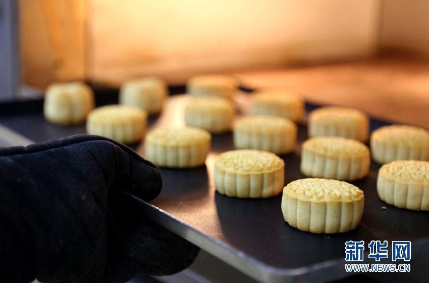 886fc737b84a5e9ce94fae0221268cf7.jpg?x-oss-process=style/w10