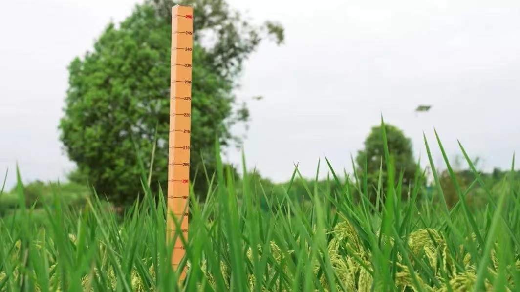 ef0d96900bbdbc41f1bf092f044872b.jpg?x-oss-process=style/w10