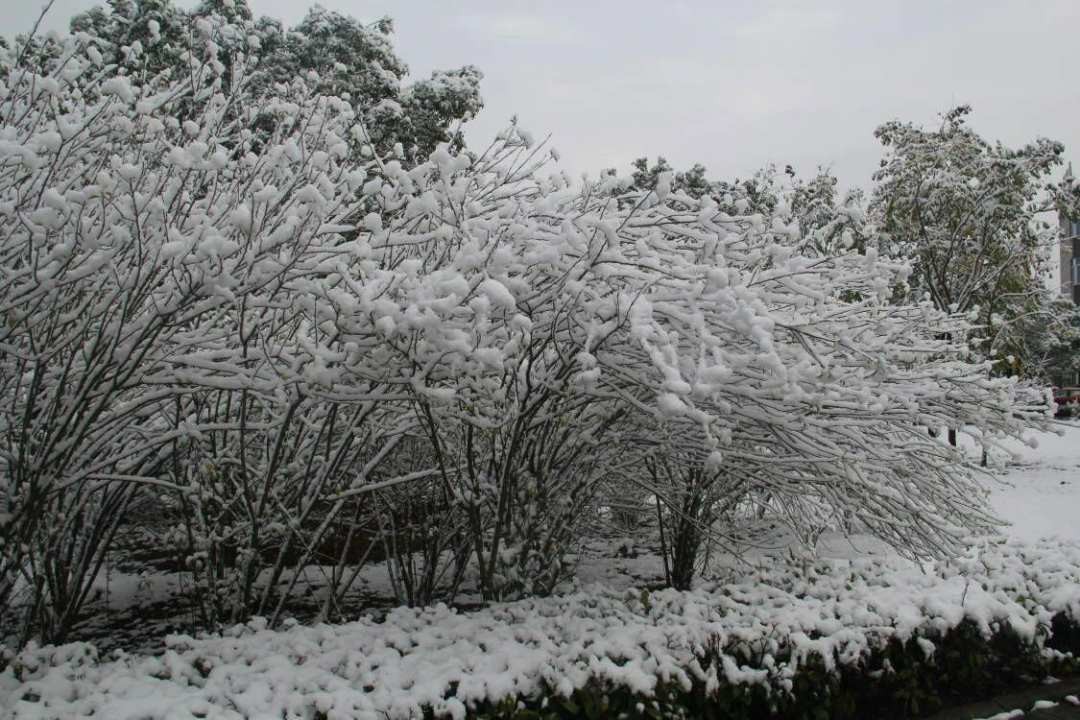 8c738a5f28219ab061cc712f31e3ad39.jpg?x-oss-process=style/w10