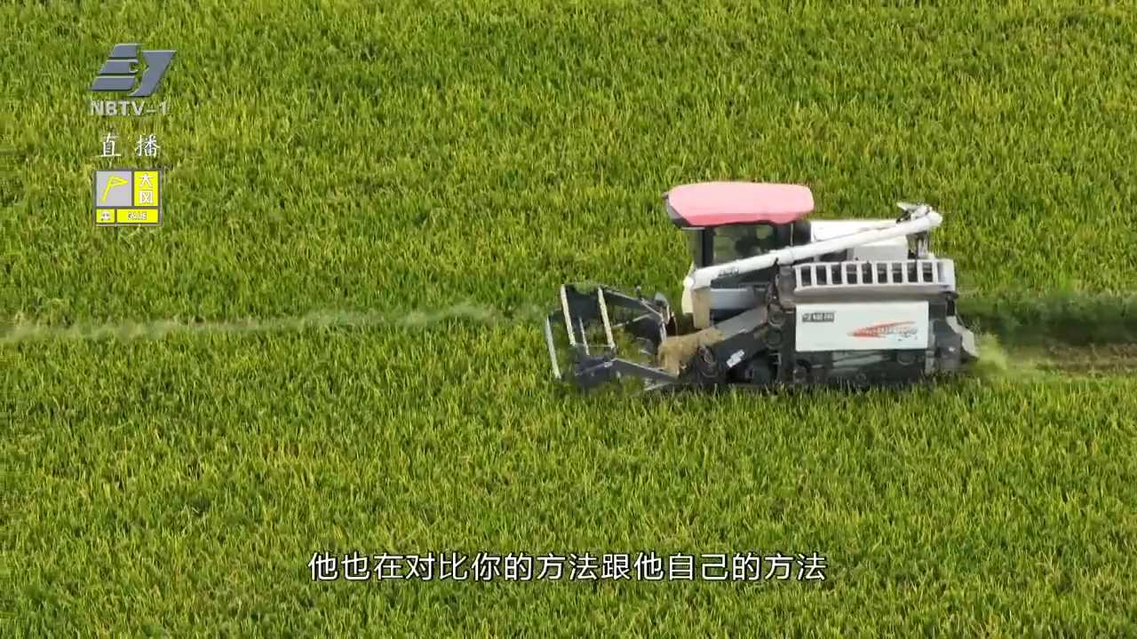 你好，新生活丨我的“禾伙人”