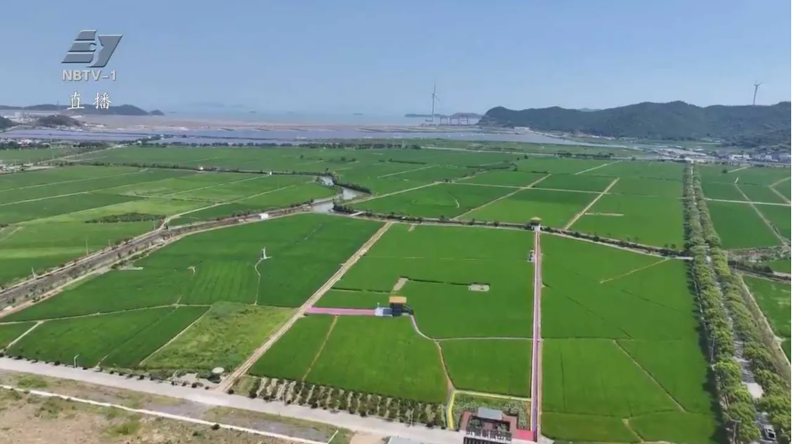 深化“千万工程”丨汤岙村：农文旅融合探索田园共富之路