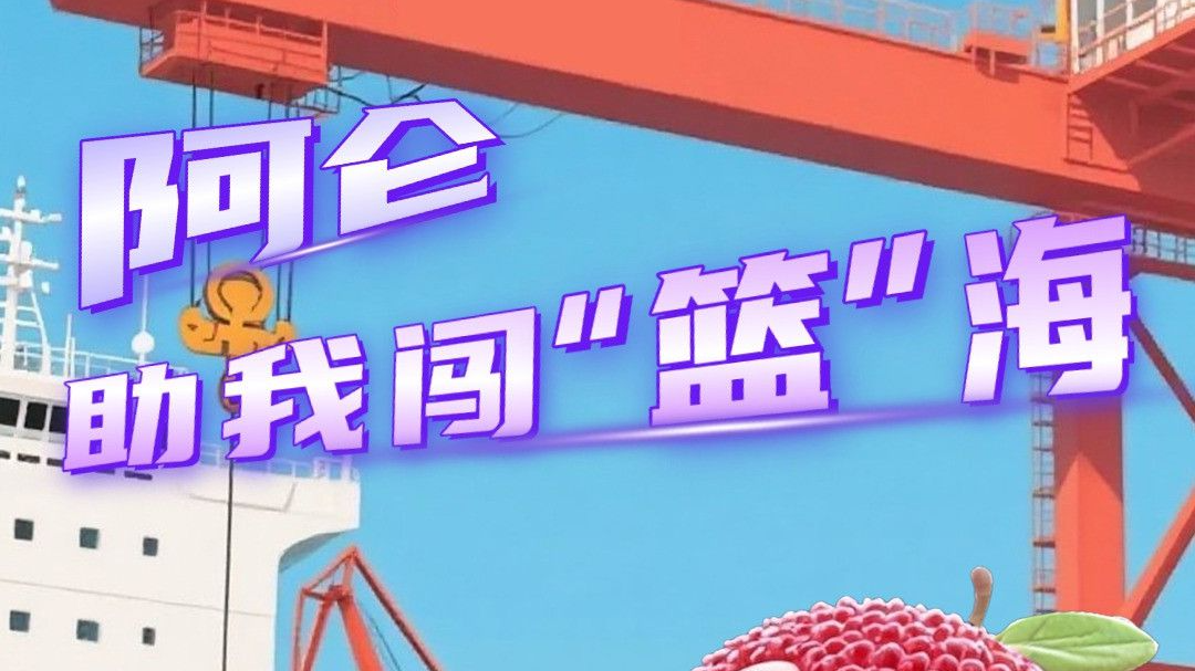 两连胜，浙BA宁波赛区慈溪69:51北仑再下一城