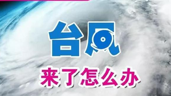 台风“竹节草”卷土重来！浙江风雨将明显增强 收下防台贴士