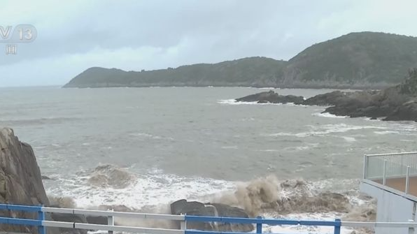 应对台风“竹节草”，市防指办发布紧急通知