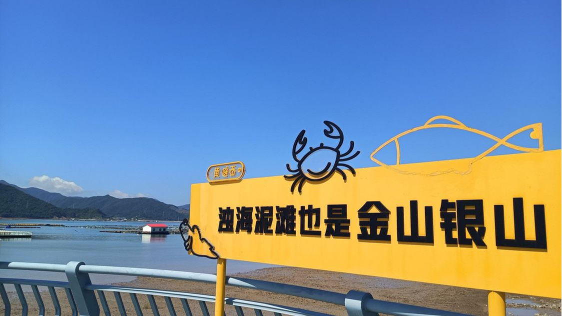 活力中国调研行丨浙江象山：从“卖特产”到“卖碳汇”