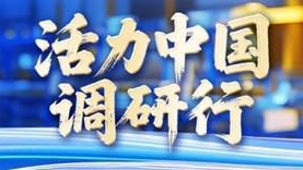 中国智慧港口：从“仰望星空”到“领航世界”