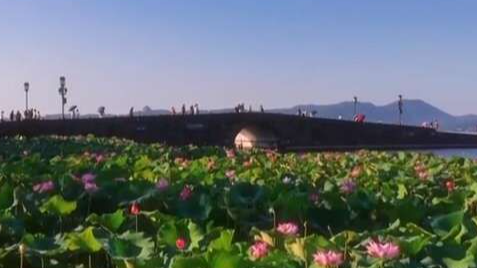 深邃的思想 深刻的启迪：电视专题片《文化的力量——习近平文化思想在浙江的溯源与实践》第二集《文以载道》引发强烈反响