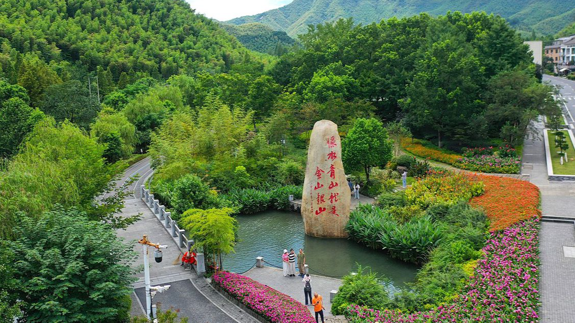 绿色，浙江发展最动人的色彩——浙江践行绿水青山就是金山银山理念20年