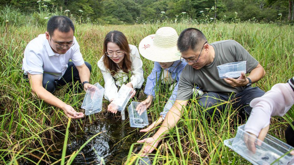 “绿”精灵的山水行丨安且吉兮，“鲵”我共享绿色家园