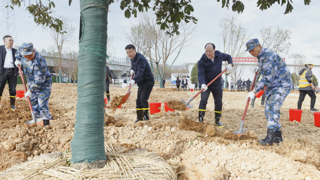 浙里林长织绿网：甬湖丽三地绘就生态共富画卷