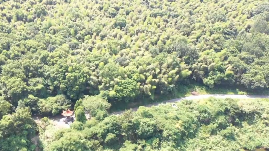 铭记历史 缅怀先烈丨茅洋万人坑：被锁住了双手 锁不住抗争的决心
