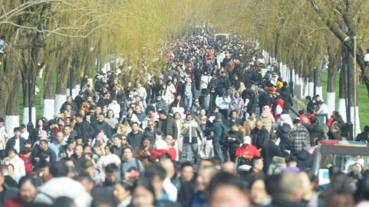 反向旅游存在隐患 这些“安全坑”不要踩→