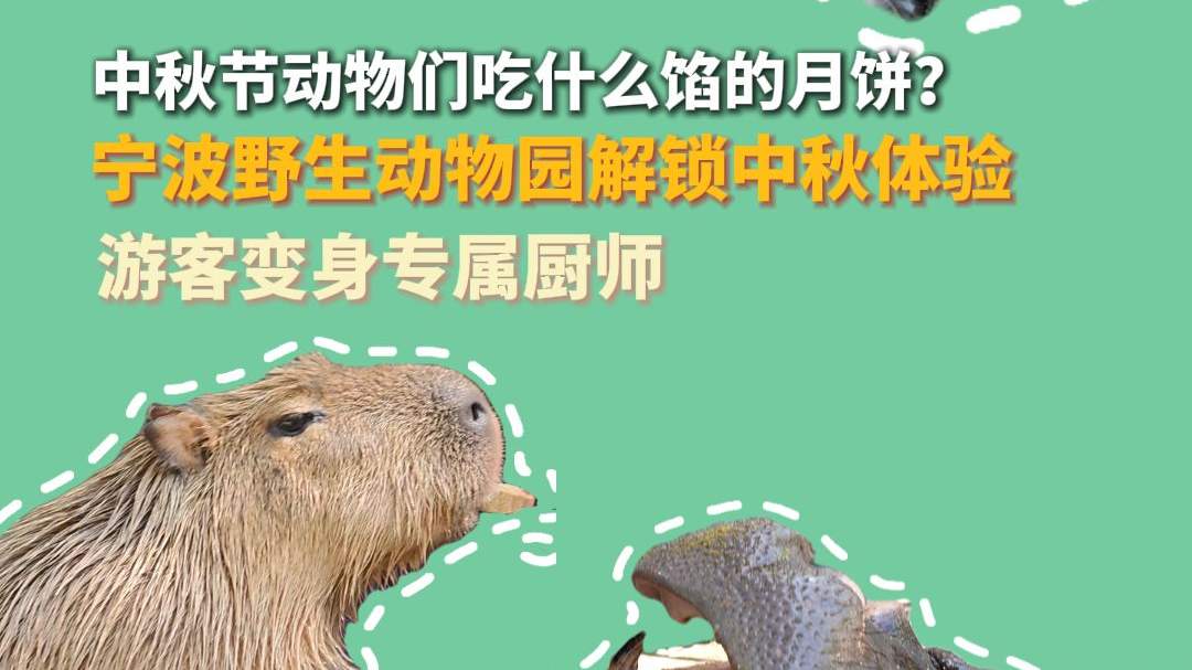 中秋节动物们吃什么馅的月饼？宁波野生动物园解锁中秋体验 游客变身专属厨师