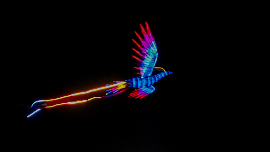 火凤燃夜 宁波三江口上演“光影神话”