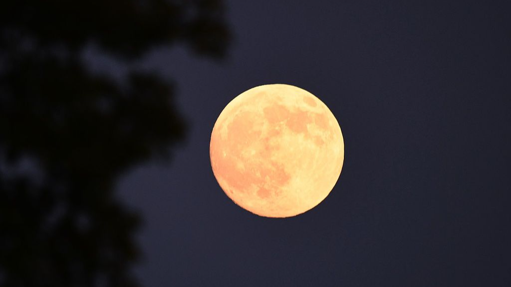 天涯共此时 ！第一波中秋圆月美图来了