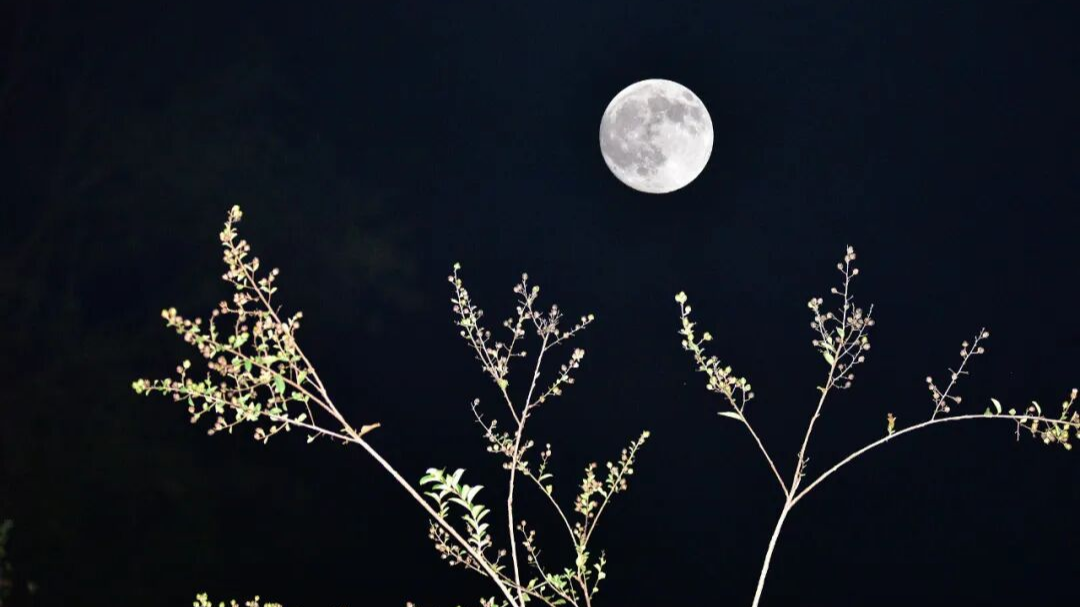 中秋“超级月亮”没看够？再来一波高清大图！