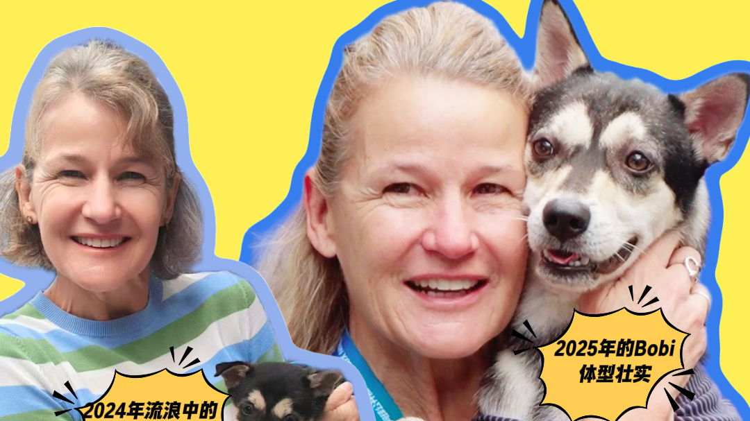 温暖重逢！赛事监督Clare再遇小狗Bobi