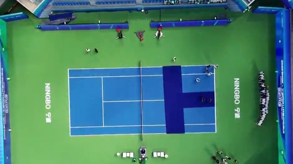 宁波（鄞州）网球中心“茶花”惊艳绽放