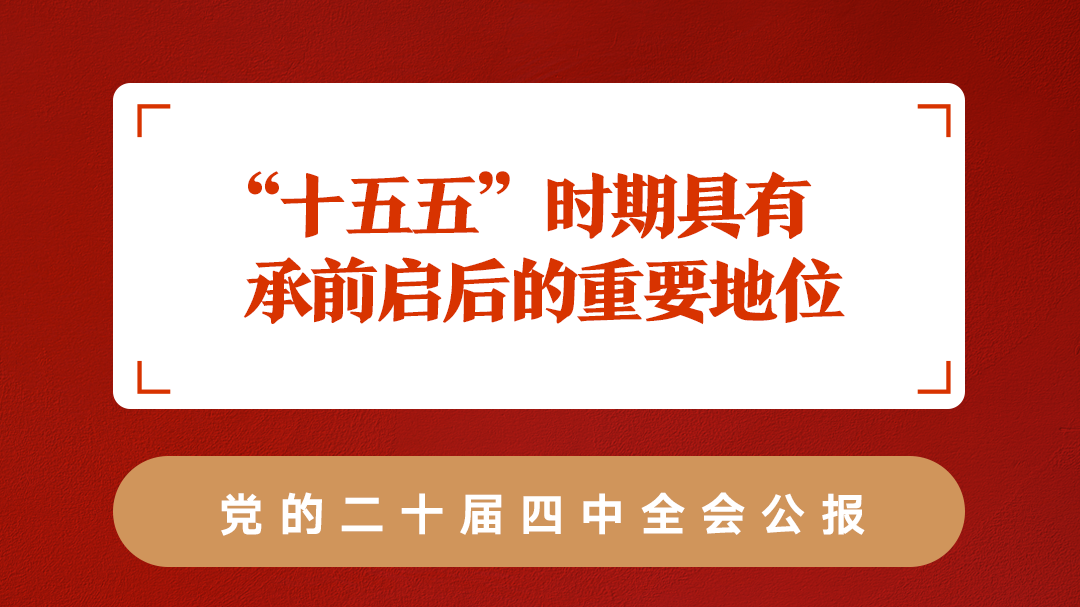 划重点！党的二十届四中全会公报重要提法
