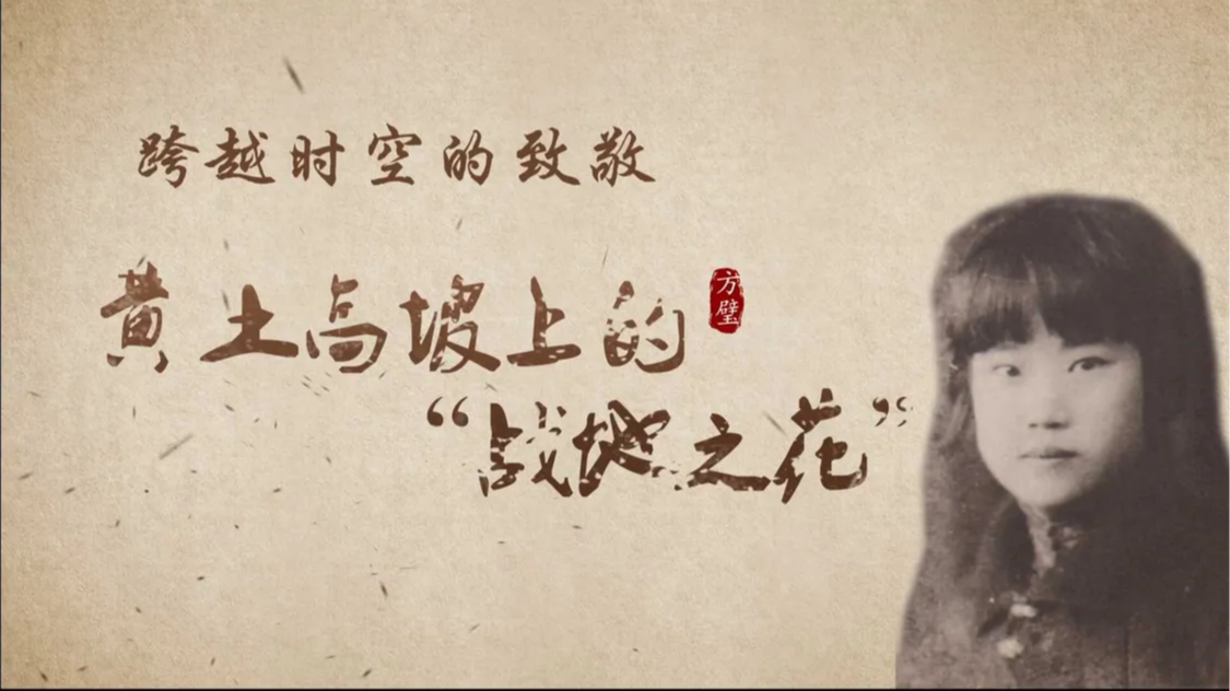 跨越时空的致敬：黄土高坡上的“战地之花”