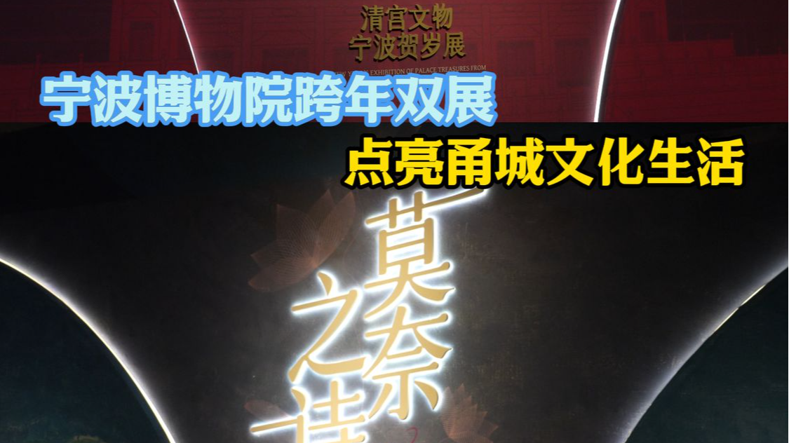 开展首日人气旺 宁波博物院跨年双展 点亮甬城文化生活