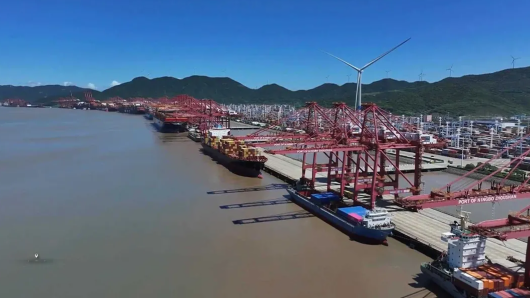 第1发布丨大港立东方