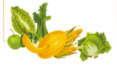 出口覆盖224个国家和地区，中国农产品“圈粉”世界