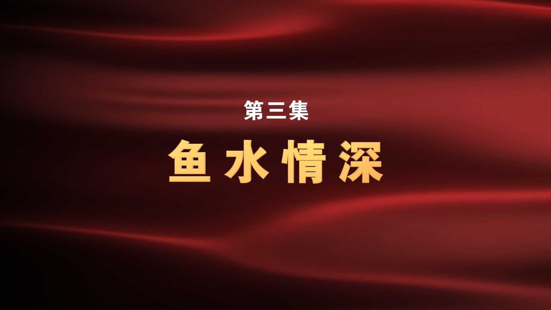 《铁军——新四军的故事》第三集：鱼水情深
