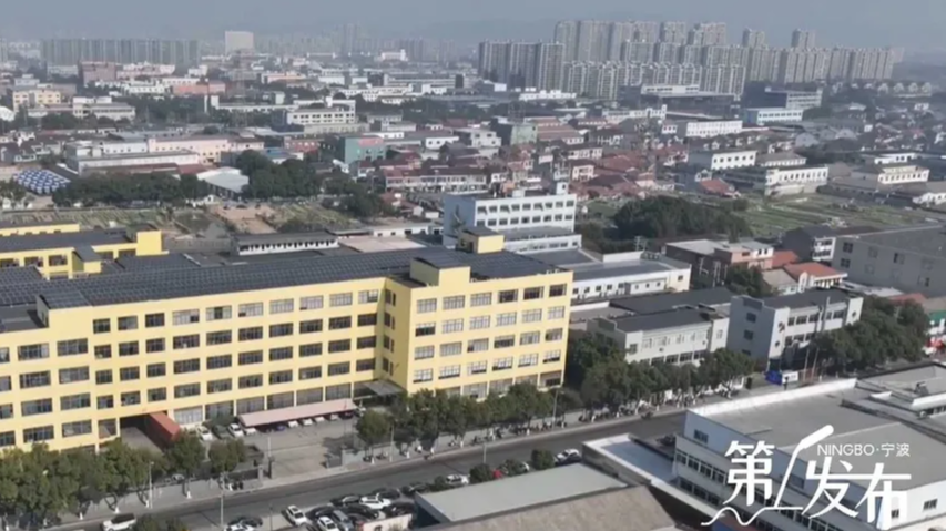 第1发布丨常态长效 赋能发展  全力推动企业服务走深走实