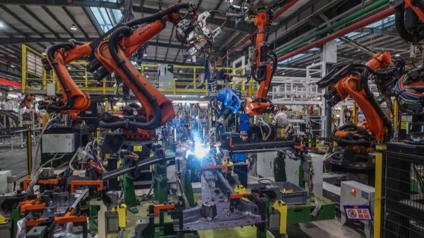 一流创新生态·怎么建丨浙江一体培育发展“大中小”企业推动其融通协同：让乔木灌木苗木汇聚成林