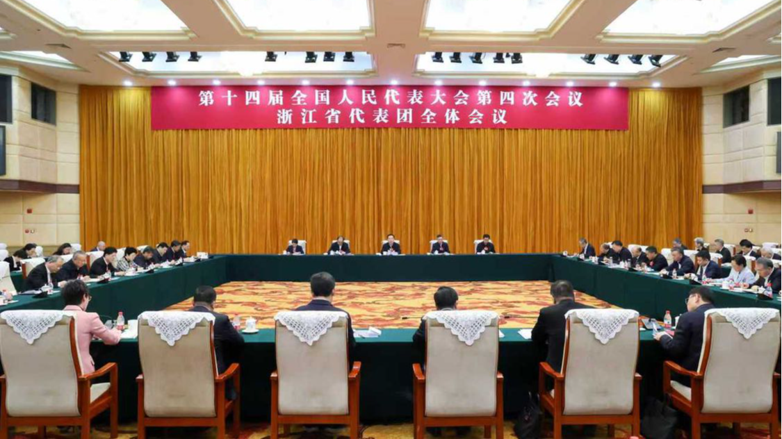 浙江代表团审议全国人大常委会工作报告 王浩刘捷参加