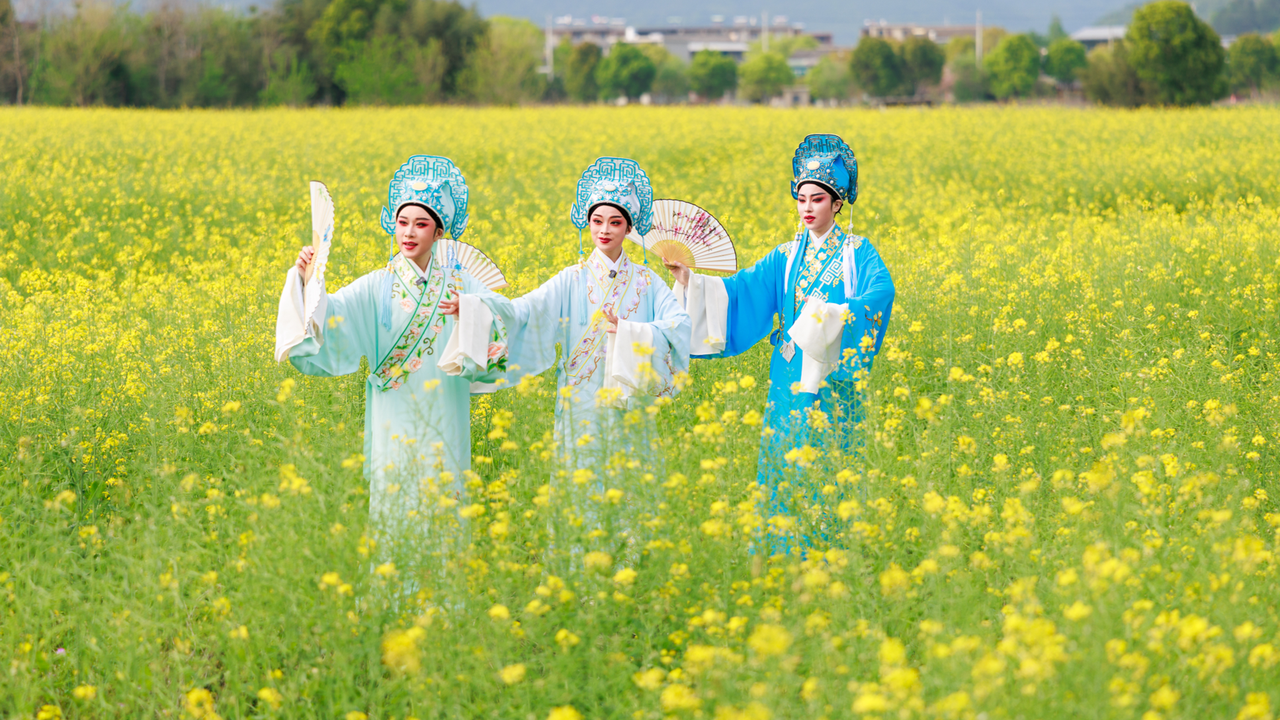 “梁山伯”走进油菜花海，一出好戏让春色“入戏”