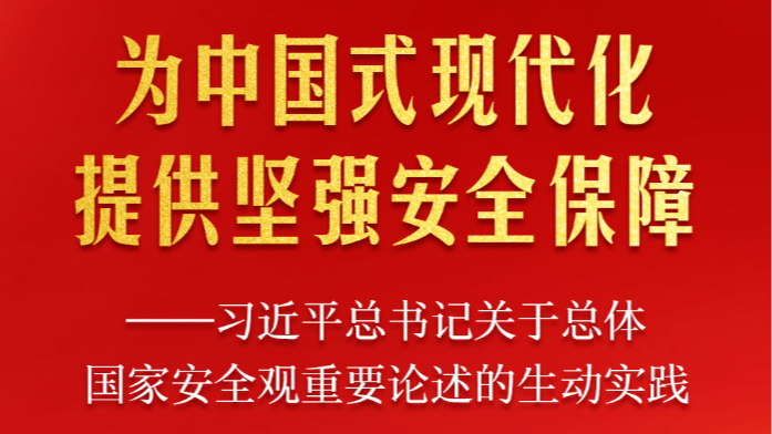 习近平总书记关于总体国家安全观重要论述的生动实践