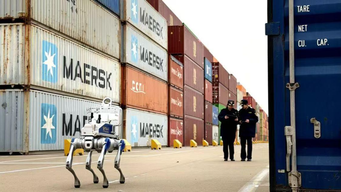 联手浙江海港、宁波能源，宇树科技在宁波“跑步进场”