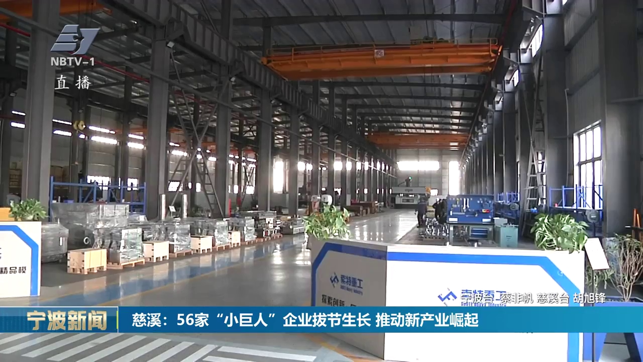 慈溪：56家“小巨人”企业拔节生长  推动新产业崛起