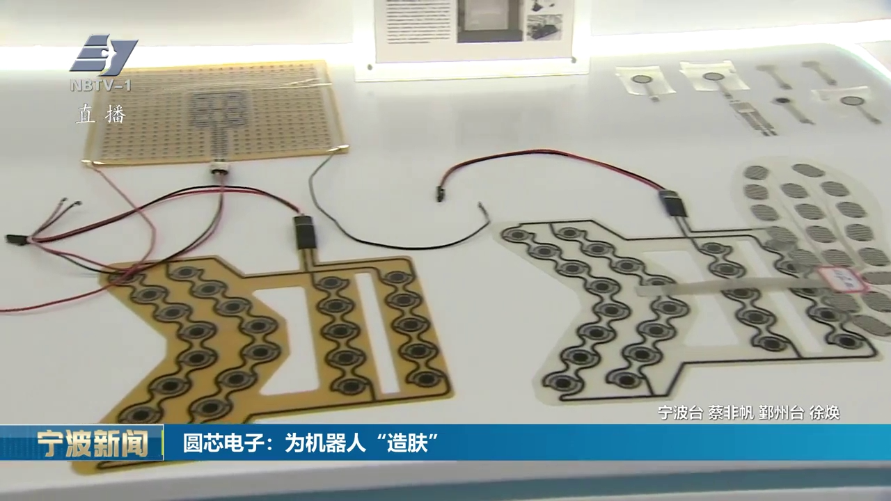 圆芯电子：为机器人“造肤”