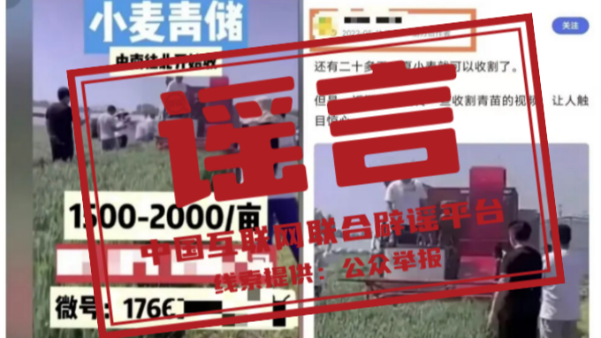 “收割未成熟小麦作青贮饲料”不实（2026·04·22）